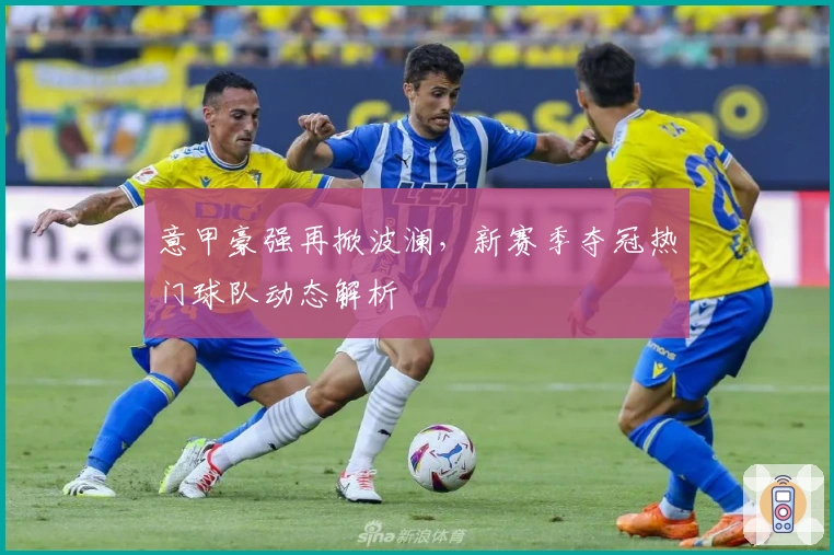 意甲豪强再掀波澜，新赛季夺冠热门球队动态解析